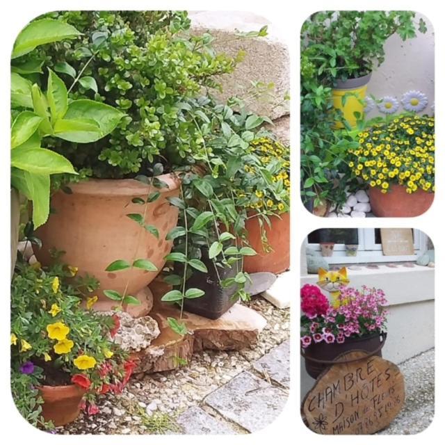 Scrignac La Maison Des Fleurs מראה חיצוני תמונה